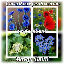 Kolorowe kwiaty czwartkowe pozdrowienia